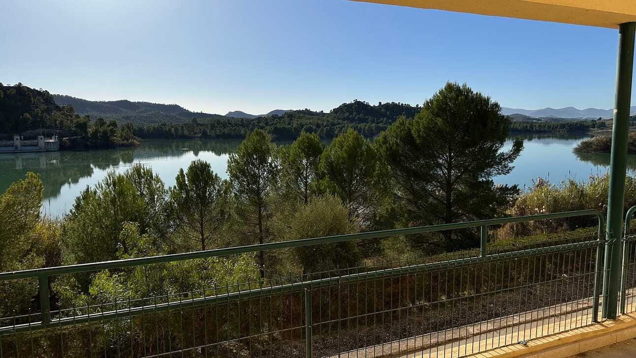 Vista panorámica de un pantano rodeado de un bosque de coníferas